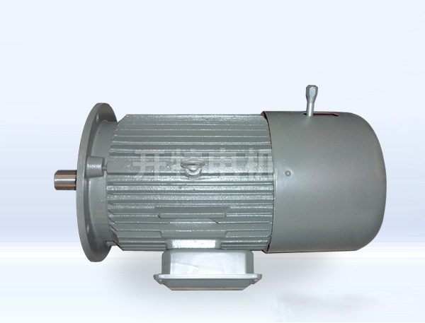 YEJ系列電磁制動三相異步電機(jī)